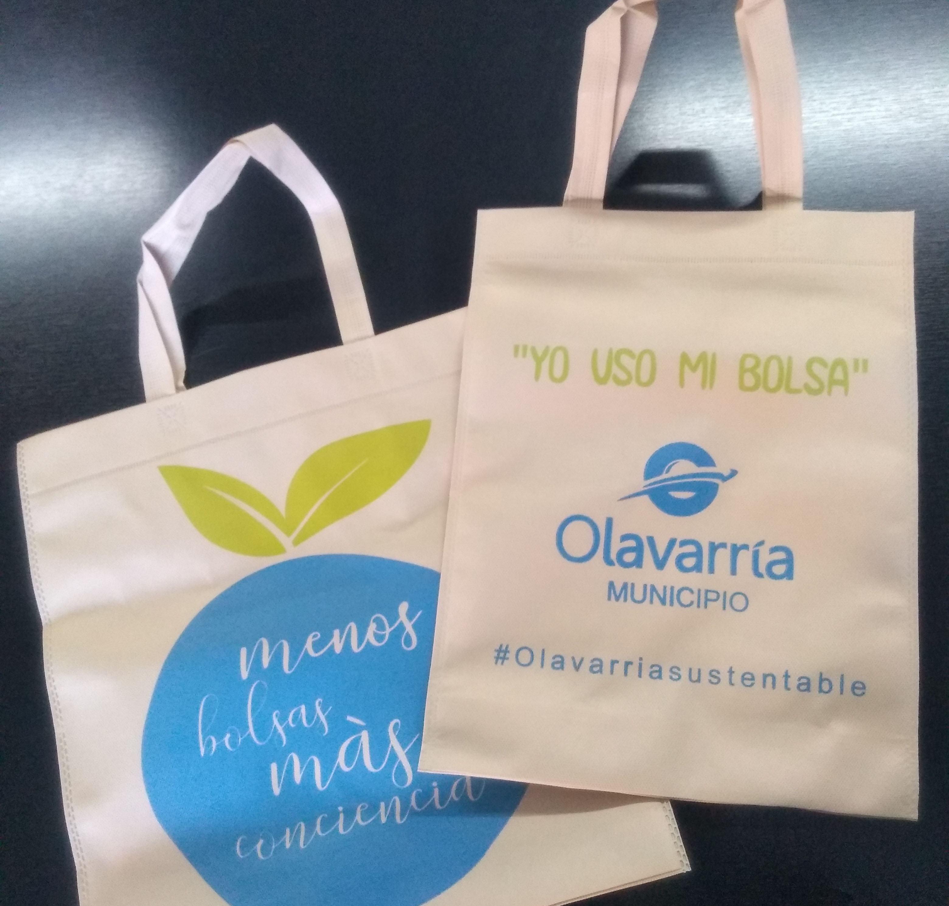 Bolsas best sale ecologicas sustentables