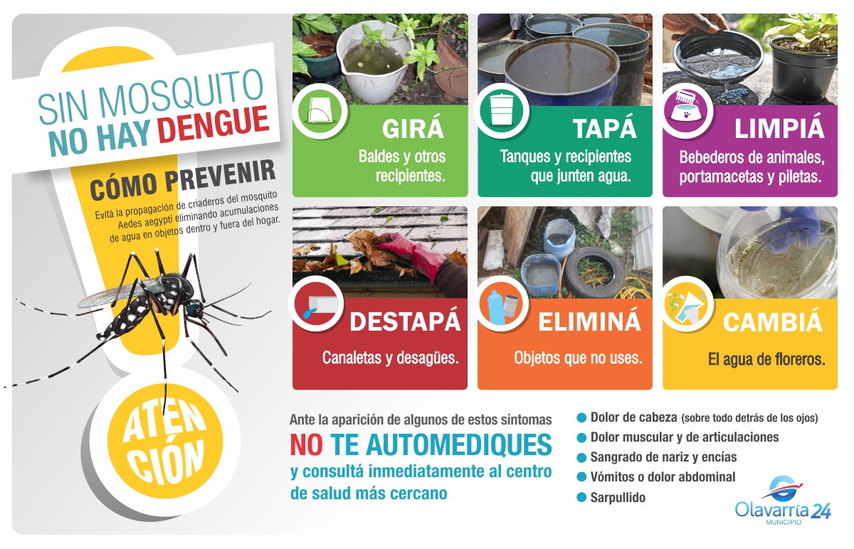 “Sin mosquito no hay Dengue” Municipalidad del Partido de Olavarría