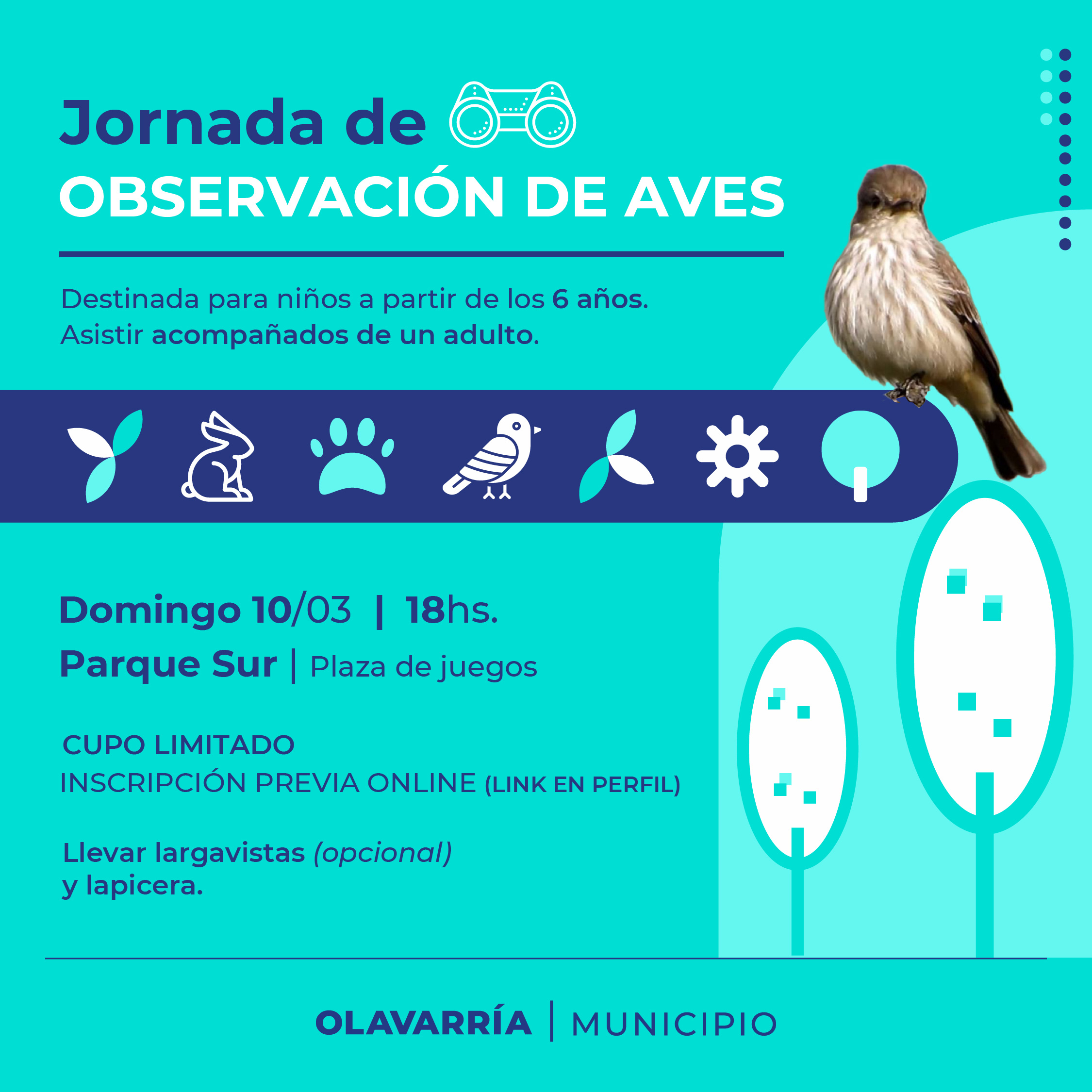 Jornada de avistaje de aves en Parque Sur | Municipalidad del Partido ...